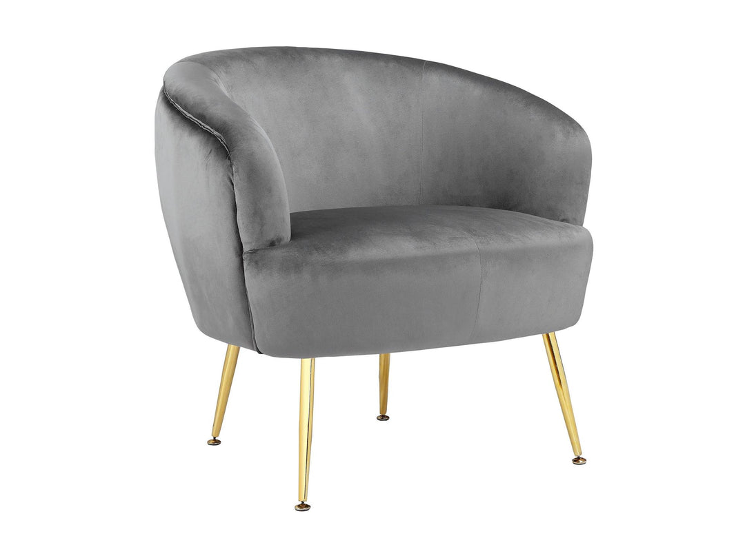 Kara Teddy Soft Accent Chair with Gold Legs - Gray