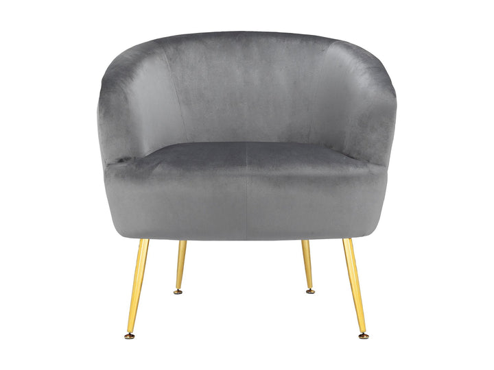 Kara Teddy Soft Accent Chair with Gold Legs - Gray